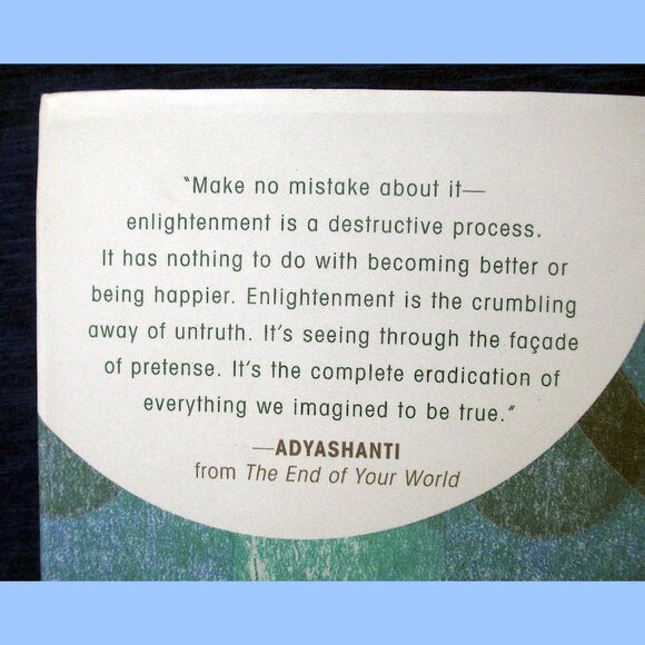 Book: The End of Your World by Adyashanti - Picture 10 of 12